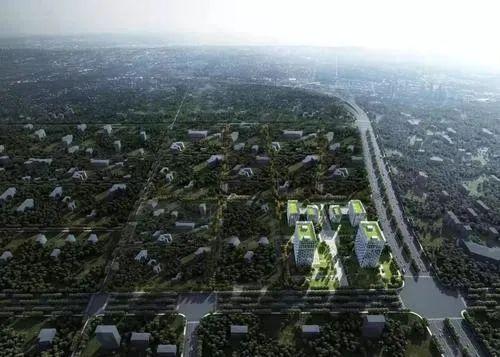 长春净月区最新爆料,揭秘生态新城的蜕变与未来展望